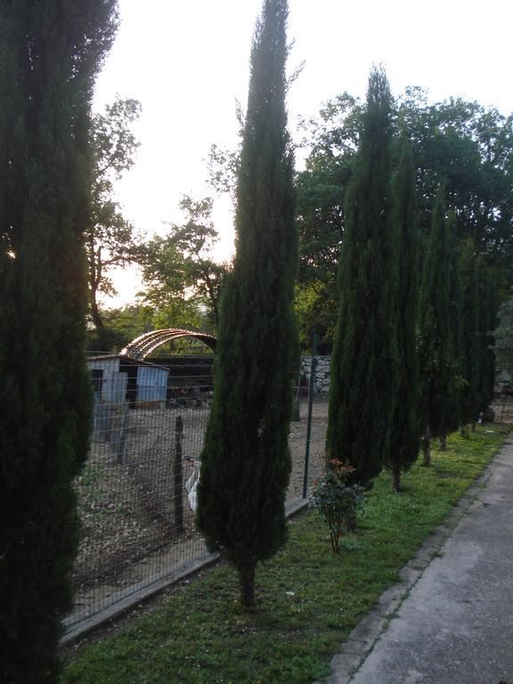 Agriturismo La Fattoria San Donato Val di Comino Eksteriør bilde
