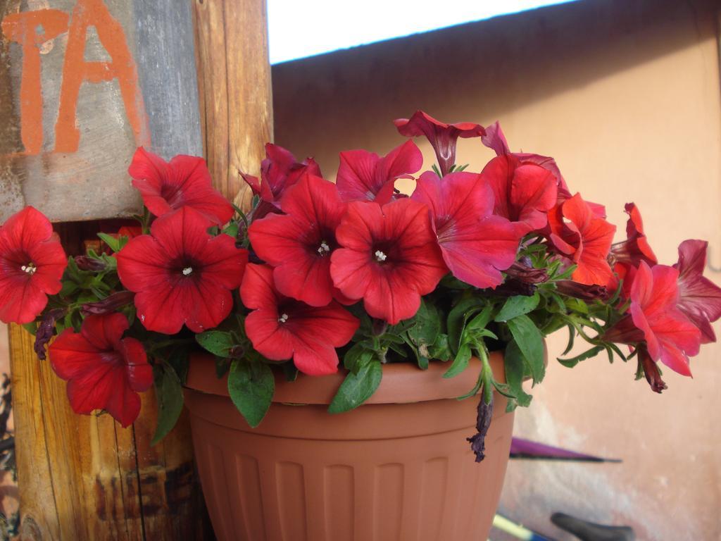 Agriturismo La Fattoria San Donato Val di Comino Eksteriør bilde