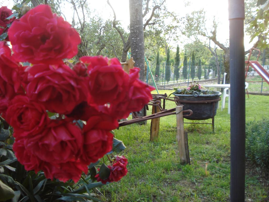 Agriturismo La Fattoria San Donato Val di Comino Eksteriør bilde